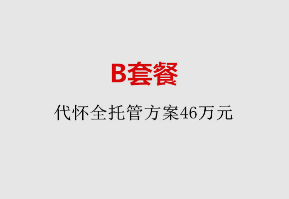 合肥B套餐：代怀全托管方案46万元